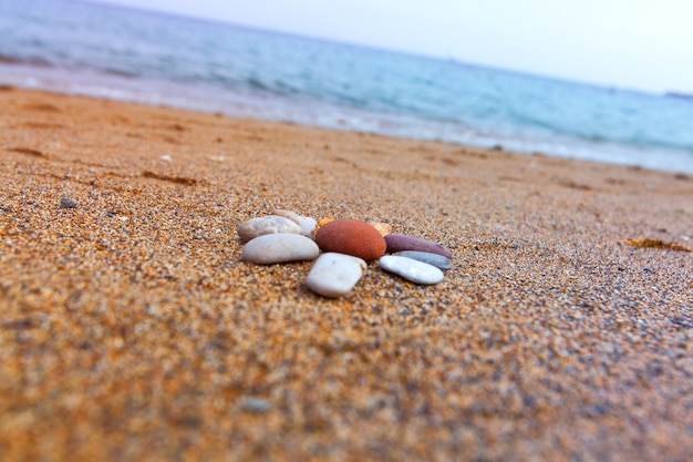 Steine ​​am Strand. Blume aus Steinen auf einem sandigen Hintergrund