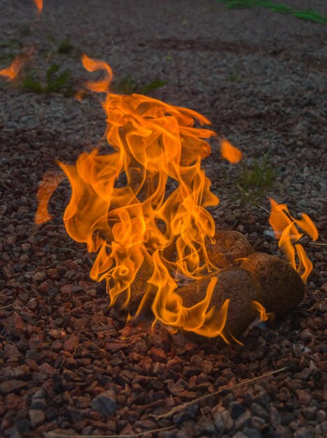 Steine brennen hell vor Feuer.