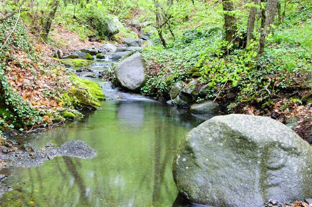 Steine Gebirgsbach Das felsige Ufer Wasser fließt über Felsen