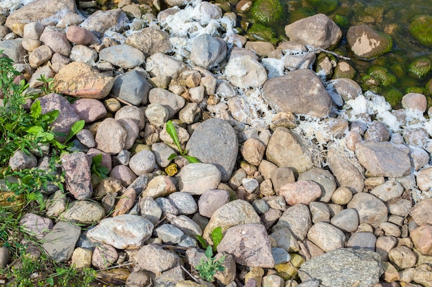 Steine mit grünem Gras in der Nähe des Sees