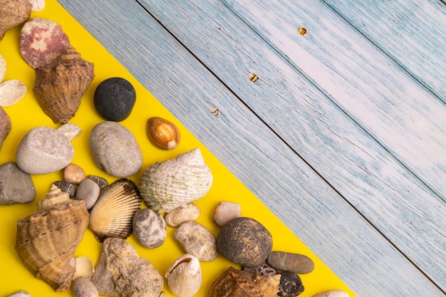 Steine und Muscheln auf blauem Holzhintergrund und gelbem Hintergrund.Marinethema