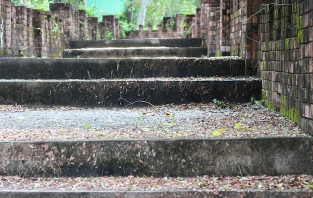 Steinfertigertreppe im Park