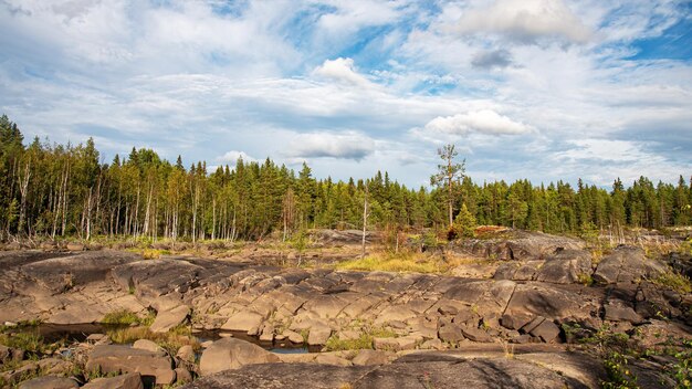 Steinfluss. Sommerlandschaft eines Flusses mit Felsen und Wald in Belomorsk, Karelien, Russland. Panoramablick.