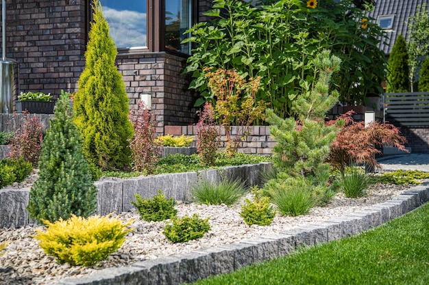 Steingarten im Hinterhof mit kleinen Pflanzen