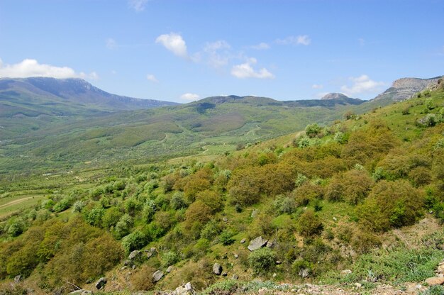 Steinidole des Berges South Demerdzhi auf einem Hintergrund von Wolken Krim
