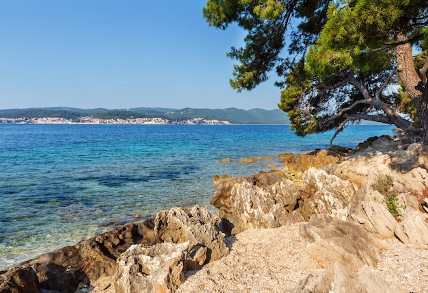 Steiniger Sommerstrand mit sauberer azurblauer Wasseroberfläche der Adria (Kroatien) und Kiefer am Ufer.