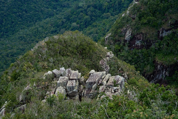 Steinklippen im dichten Dschungel Asiens. Unberührte Natur.