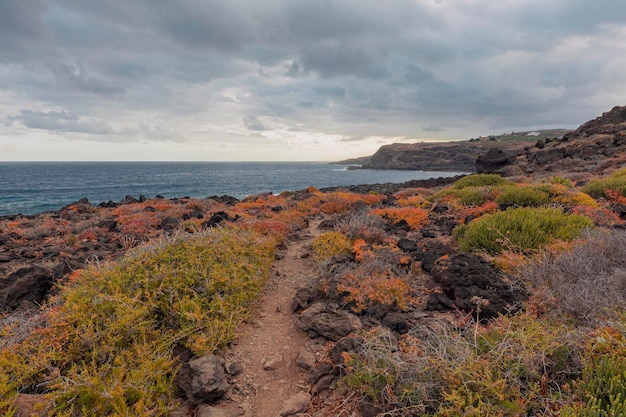 Steinküste mit Klippen des Atlantischen Ozeans bei Sonnenaufgang Teneriffe Kanarische Inseln Spanien