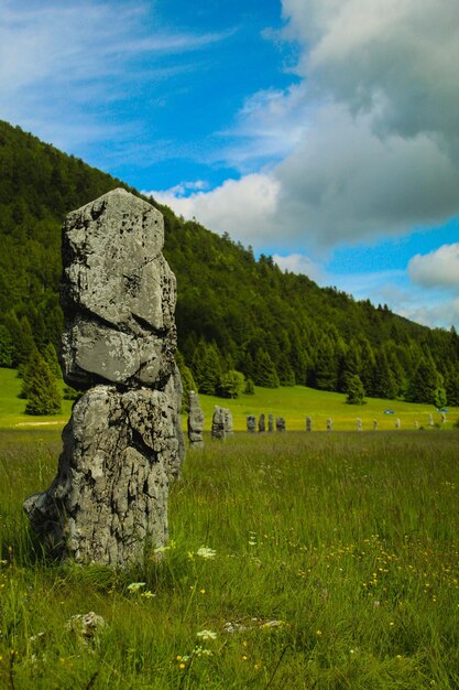 Foto steinmauer auf dem feld gegen den himmel