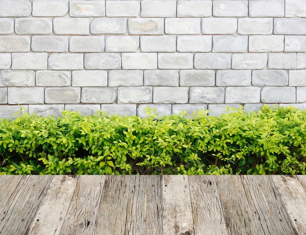 Steinmauer mit grünen Blättern und Holzbodenhintergrund