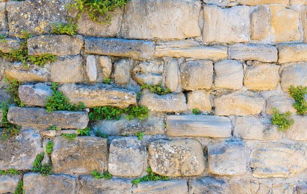 Steinmauer mit grüner Vegetation