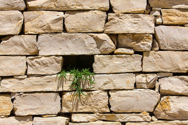 Steinmauer mit Loch