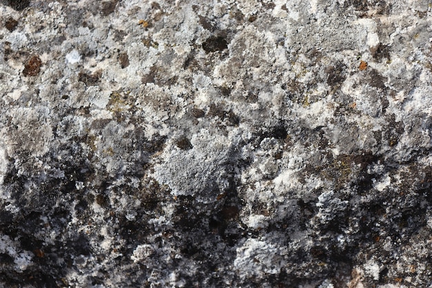 Steinoberfläche grau uneben und Moos