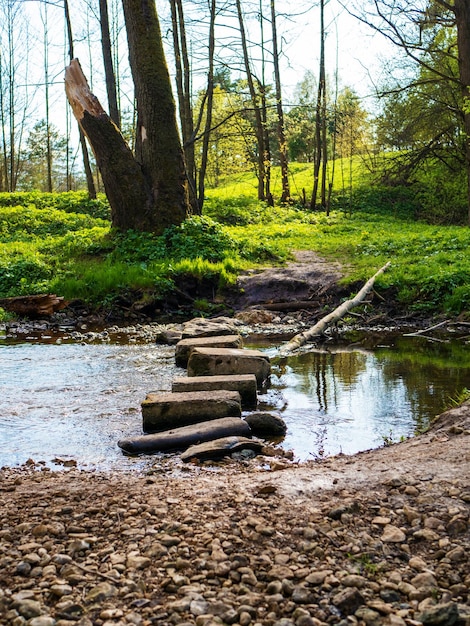 Steinpfad über den Fluss