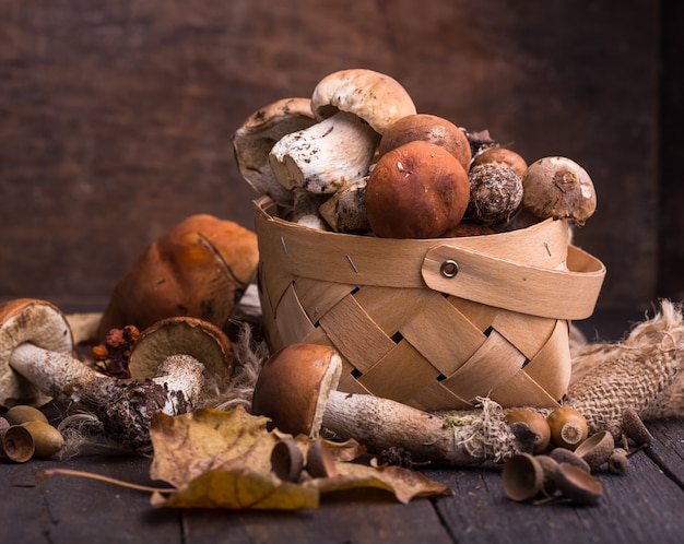 Steinpilzpilz über Holzmauer. Herbst Boletus edulis Pilze schließen auf Holz rustikalem Tisch. Köstlichen Bio-Pilz kochen. Gourmet Essen