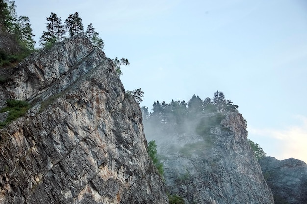 Steinspitze von Felsen mit Bäumen