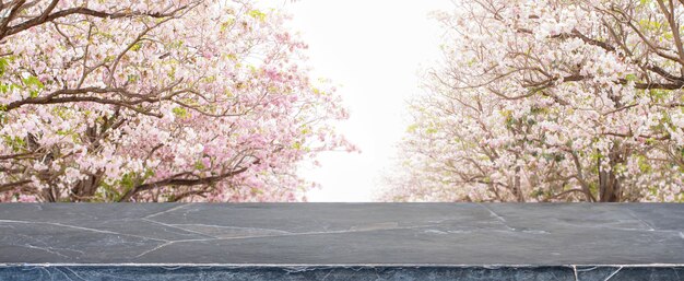 Steintabellenspitze und unscharfer Blumenbaum im Parkfahnenhintergrund - kann für Anzeige verwendet oder Ihre Produkte zusammenbauen.