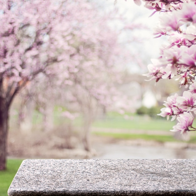 Steintisch im Garten im Freien Kirschblütennatur Sonnenlicht quadratischer Anzeigehintergrund
