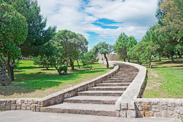 Steintreppe in einem Park