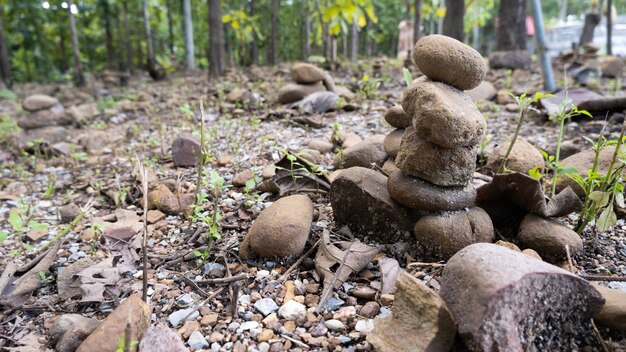 Steinturm im Wald Mahabodhi Tempel thailand