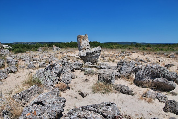 Steinwald, Pobiti Kamani in Varan, Bulgarien