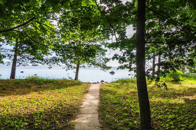 Steinweg durch den Wald zum Strand