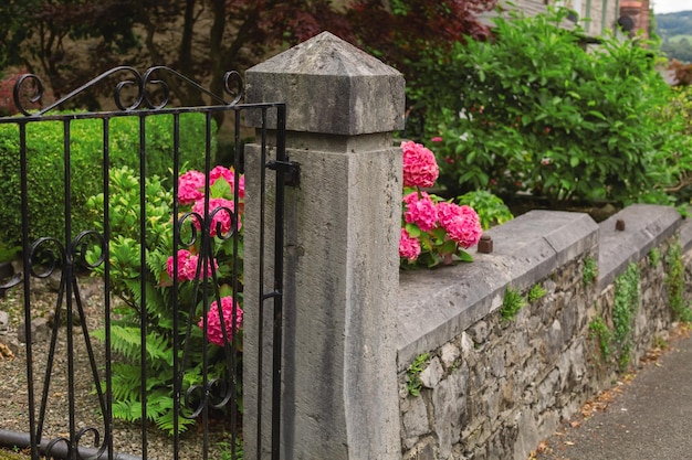 Steinzaun mit Blumen in England