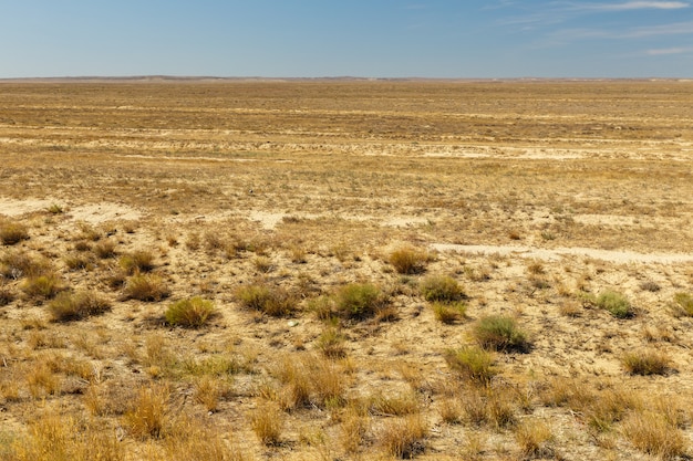 Steppe in Kasachstan