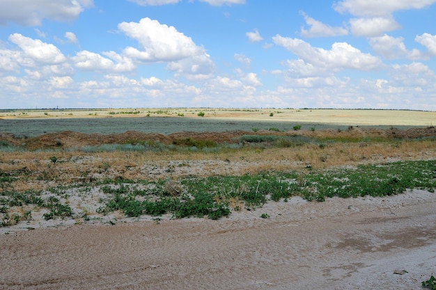 Steppe mit Hügeln gegen den blauen Himmel mit Wolken