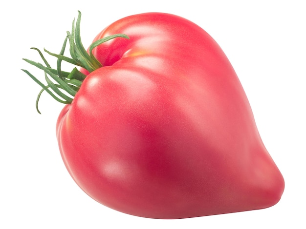 Sterling Old Norway reliquia tomate rosa tipo corazón de buey aislado