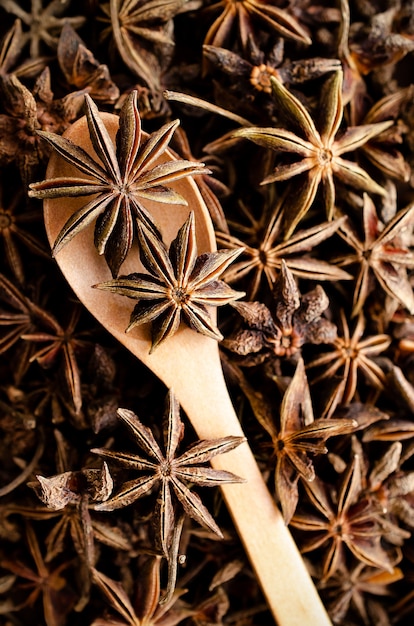 Foto sternanis mit einem holzlöffel