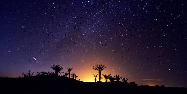 Sternenklarer nächtlicher Himmel Wüste Marokkos Sahara über Oase