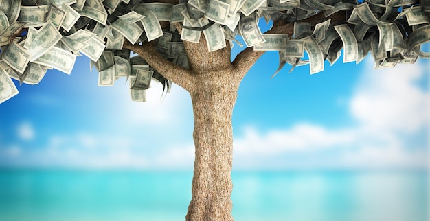 Steuerferienkonzept Dollarbaum mit Hundert-Dollar-Scheinen auf Sommer-Hintergrund 3D-Illustration