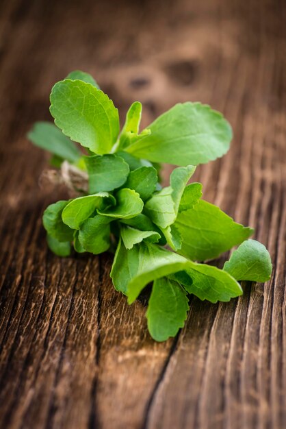 Stevia deja el enfoque selectivo