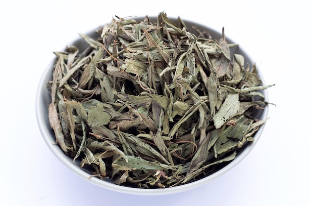 Stevia seca no fundo branco