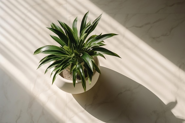 Ästhetisch ansprechende Draufsicht auf einen grünen tropischen Zweig in einer modernen beigefarbenen Vase, generiert von KI