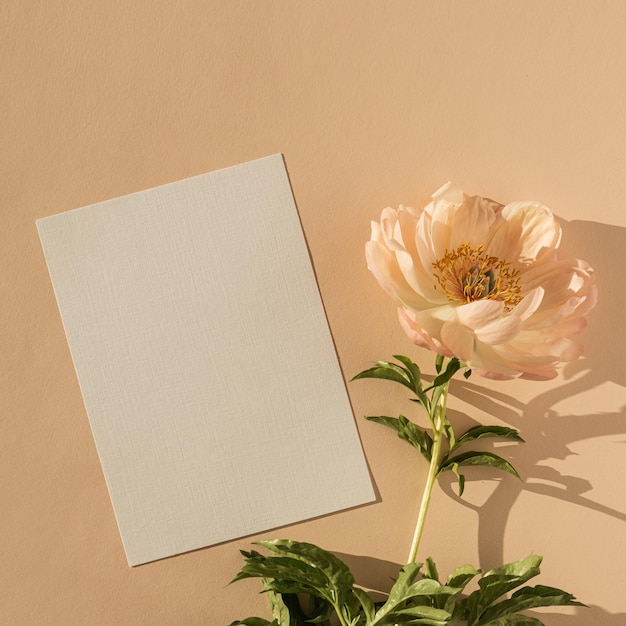 Ästhetische böhmische Hochzeitseinladungskartenvorlage mit Kopierbereich Papierkarte Pfingstrosenblume, die Sonnenlichtschatten auf Pfirsichhintergrund wirft