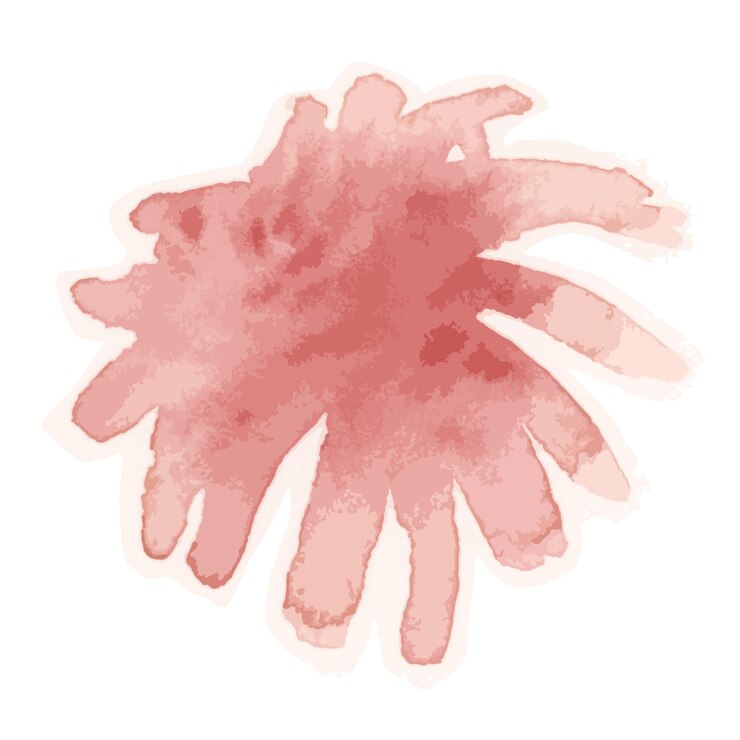 Foto sticker de aquarela png transparente de flor vermelha