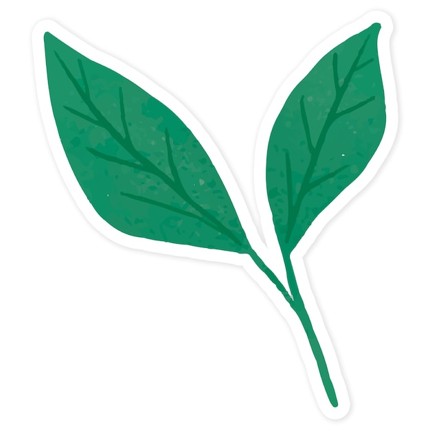 Sticker de hojas verdes transparente png
