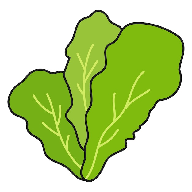 Sticker de lechuga png garabateo de verduras en un fondo transparente