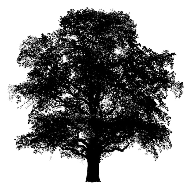 Sticker png de silueta de árbol en un fondo transparente