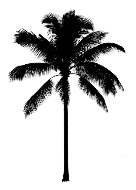 Sticker png de silueta de árbol en un fondo transparente