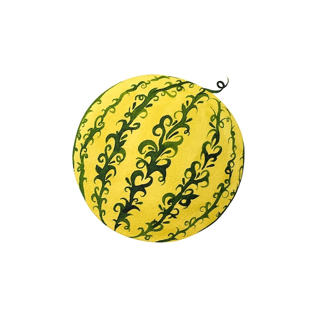 Stilisierte Wassermelone, Aquarellillustration.