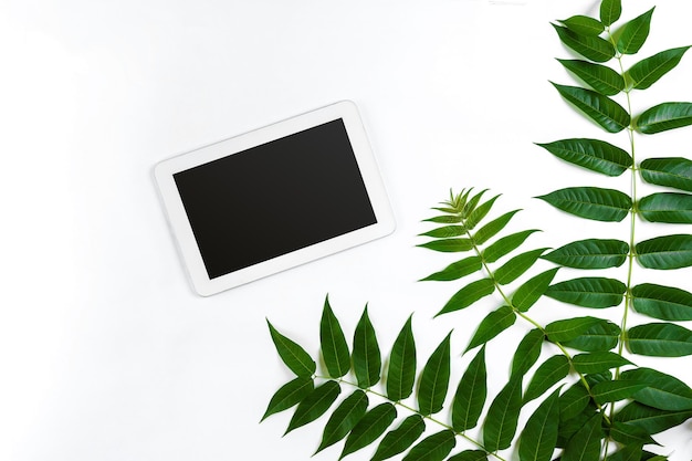 Stilisiertes natürliches Öko-Home-Office-Tablet mit Kopienraum auf weißem Hintergrund Produkt, das Top-Vi ...