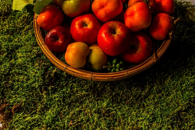 Stilleben mit Kürbissen Persimmon Mais und Äpfel auf dem Holztisch Schwarzer Hintergrund