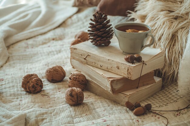 Stillleben Details im Innenraum des Wohnzimmers. Pullover und eine Tasse Tee mit Kegel, Nüssen und Herbstdekor auf den Büchern. Lesen, ausruhen. Gemütliches Herbst- oder Winterkonzept.