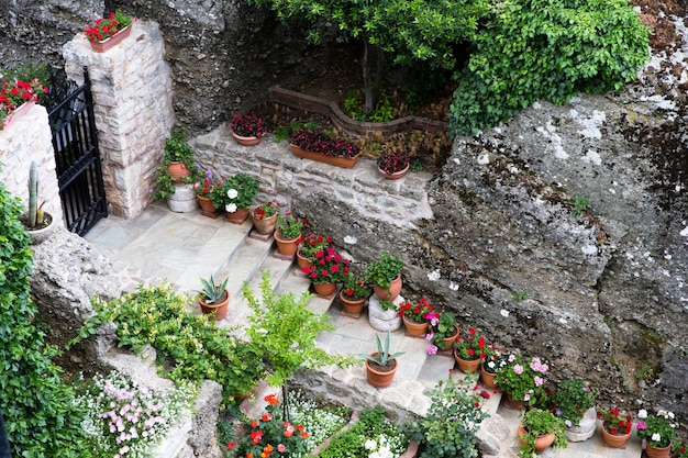 Stillleben im Garten