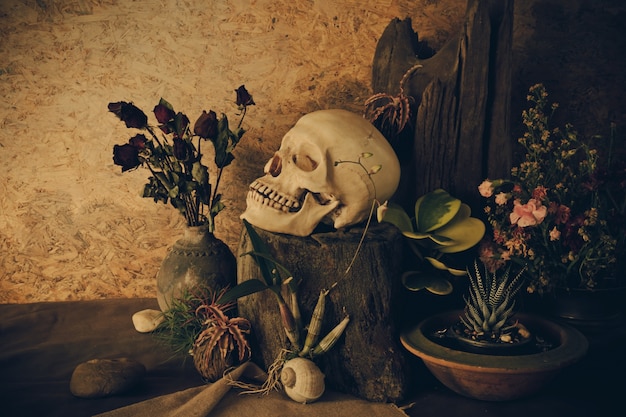 Stillleben mit einem menschlichen Schädel mit Wüstenpflanzen, Kaktus, Rosen und getrockneten Blumen.