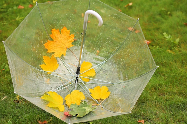 Foto stillleben mit einem transparenten regenschirm nach dem regen mit herbstblättern auf dem grünen gras weichzeichner