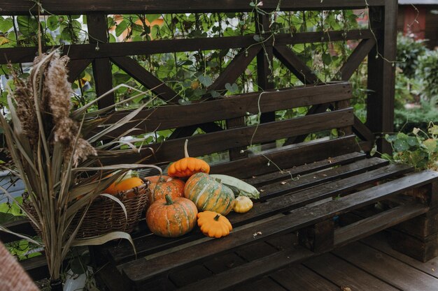 Stillleben mit einer Vielzahl von Kürbissen und Gemüse und Obst der Saison Herbstsaison